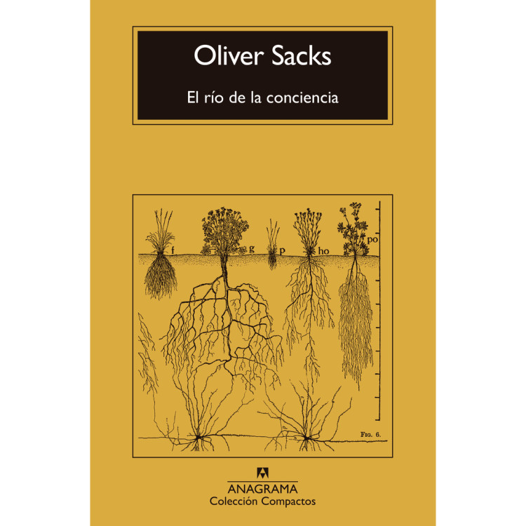 RIO DE LA CONCIENCIA E