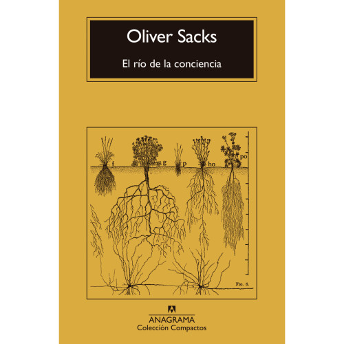 RIO DE LA CONCIENCIA E