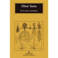 RIO DE LA CONCIENCIA E