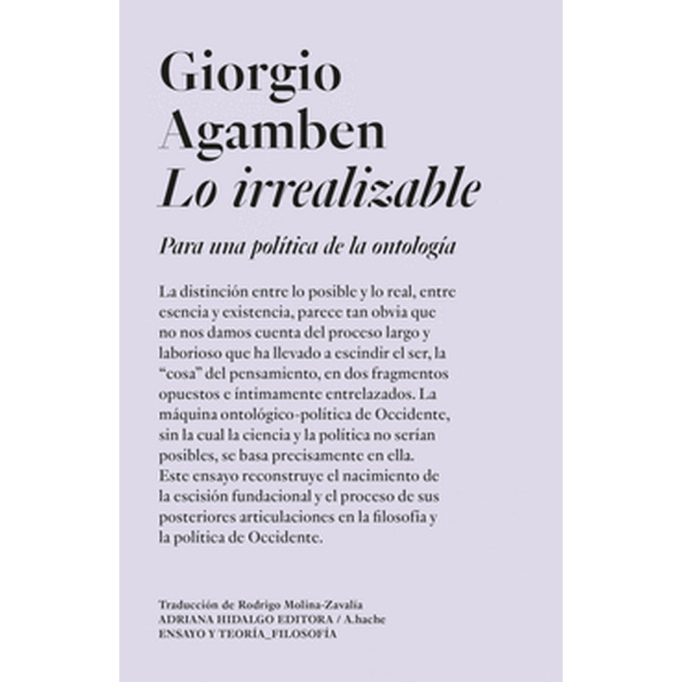 LO IRREALIZABLE PARA UNA POLITICA