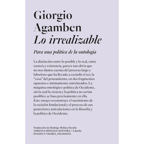 LO IRREALIZABLE PARA UNA POLITICA
