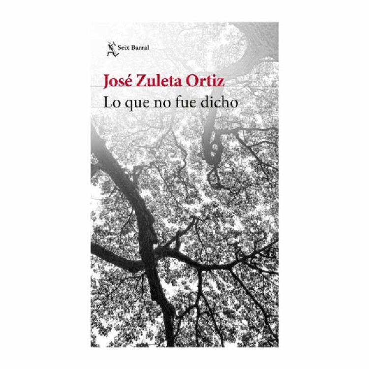 BELÉN CABALLO DE TROYA 12