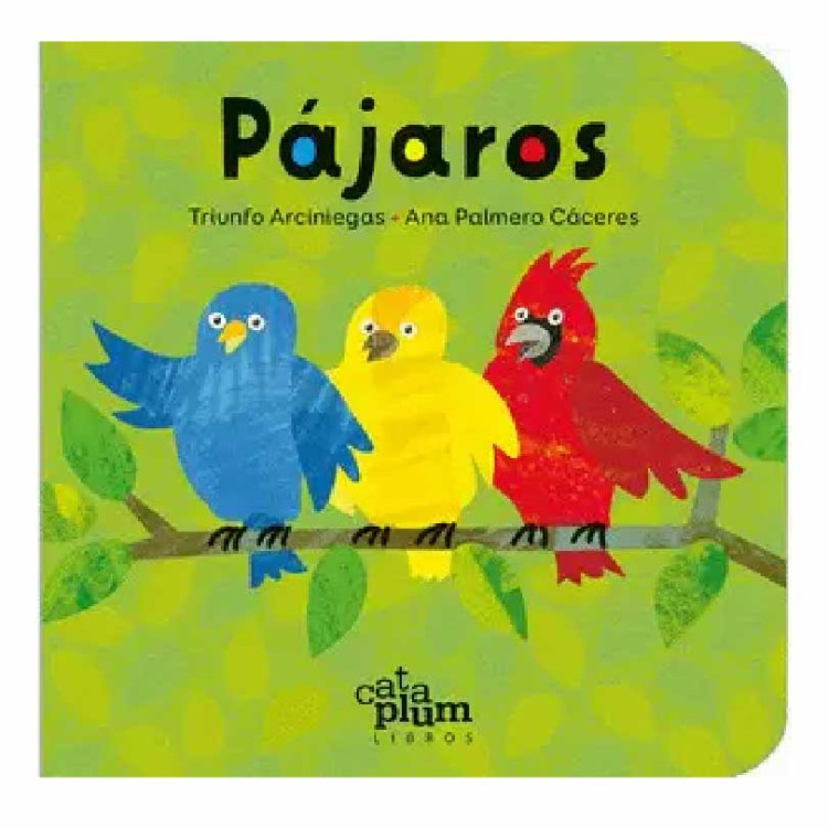 PAJAROS ARCIN
