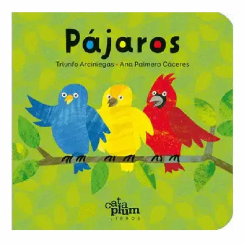 PAJAROS ARCIN