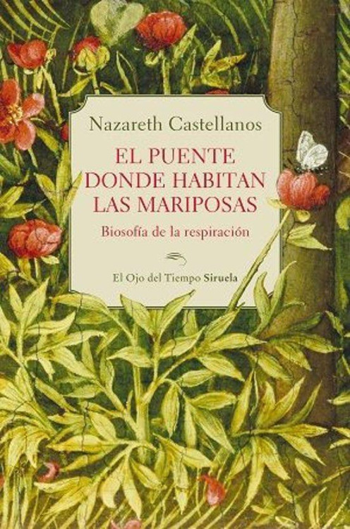 PUENTE DONDE HABITAN LAS MARIPOSAS