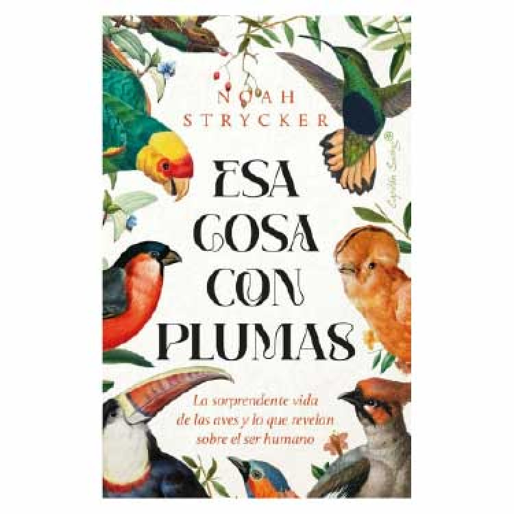ESA COSA CON PLUMAS