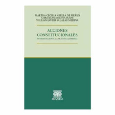 ACCIONES CONSTITUCIONALES