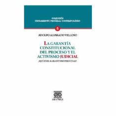 GARANTIA CONSTITUCIONAL DEL PROCESO