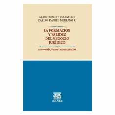 FORMACION Y VALIDEZ DEL NEGOCIO