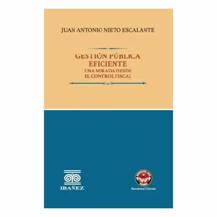 GESTION PUBLICA EFICIENTE