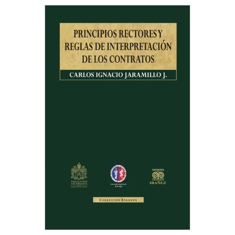 PRINCIPIOS RECTORES Y REGLAS