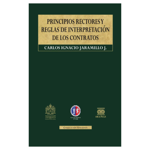 PRINCIPIOS RECTORES Y REGLAS