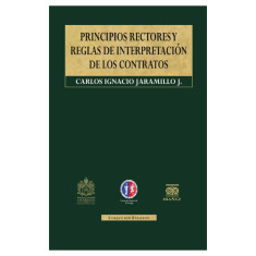 PRINCIPIOS RECTORES Y REGLAS