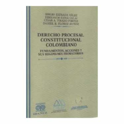 DERECHO PROCESAL CONSTITU