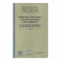 DERECHO PROCESAL CONSTITU
