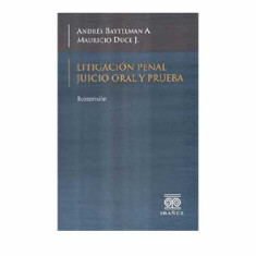 LITIGACION PENAL JUICIO