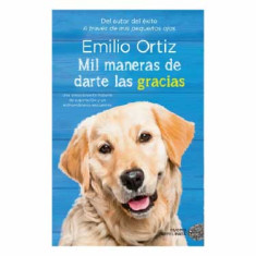 MIL MANERAS DE DARTE S GRACIAS