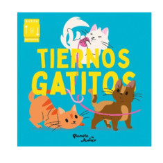 TIERNOS GATITOS