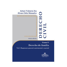 DERECHO CIVIL DEREC FAMILIA REGIM MATRI