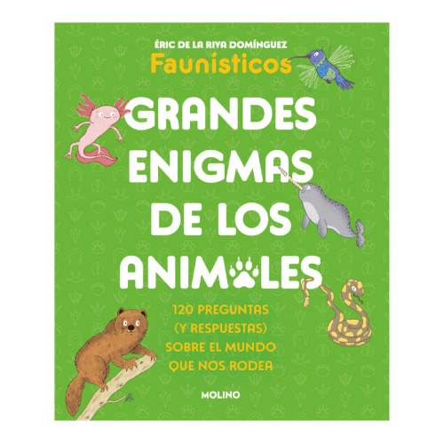 GRANDES ENIGMAS DE LOS ANIMALES